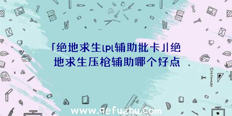 「绝地求生lpl辅助批卡」|绝地求生压枪辅助哪个好点